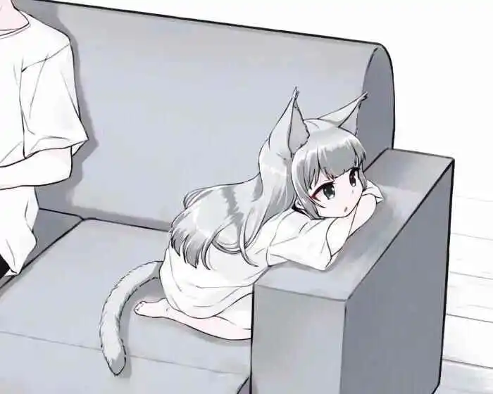 西檬之家-k8猫系是什么？理解字母圈k8角色扮演的奥秘
