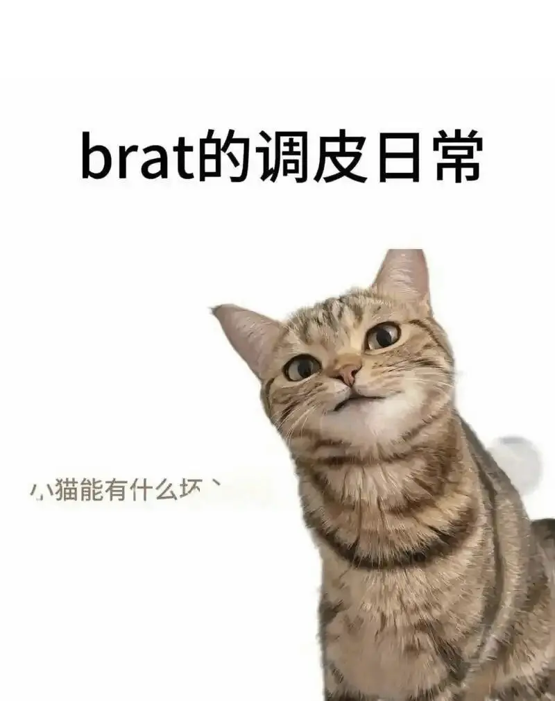 西檬之家-OTK是什么？字母圈新人的入门必备知识