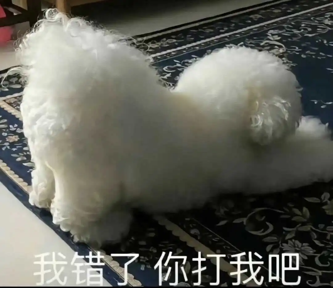 DS关系：实用指南