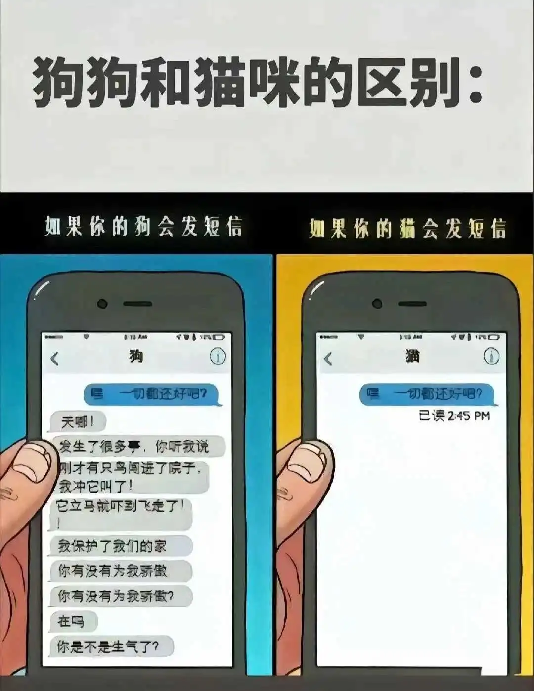 Spank：实用指南