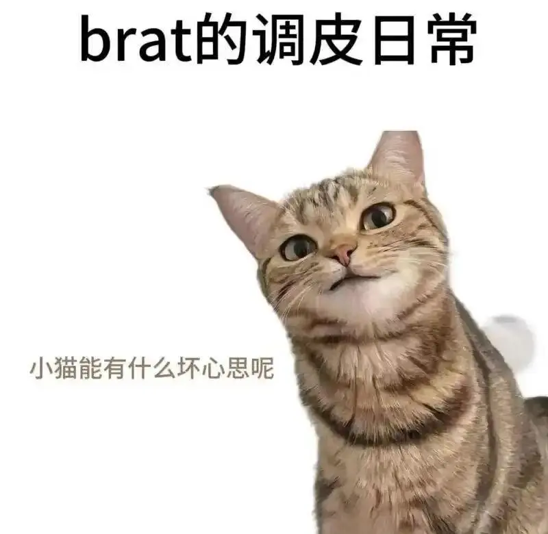 【西檬之家】字母圈新人必须掌握的10个基础术语