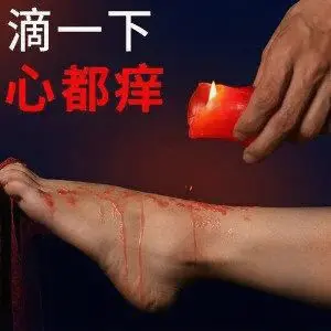 西檬之家-入口安全与信任构建：字母圈新人全面解析